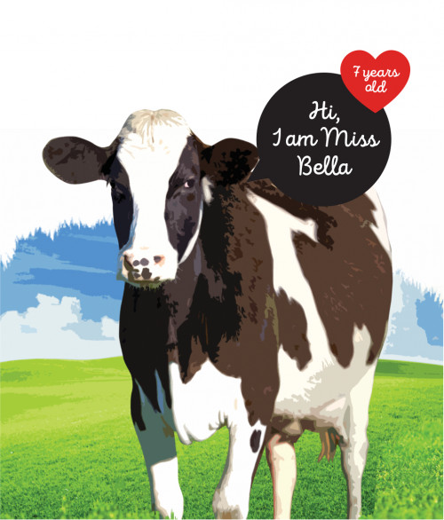 Hart Dairy TOAST Creative Digital Agency